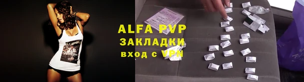 хмурый Волоколамск
